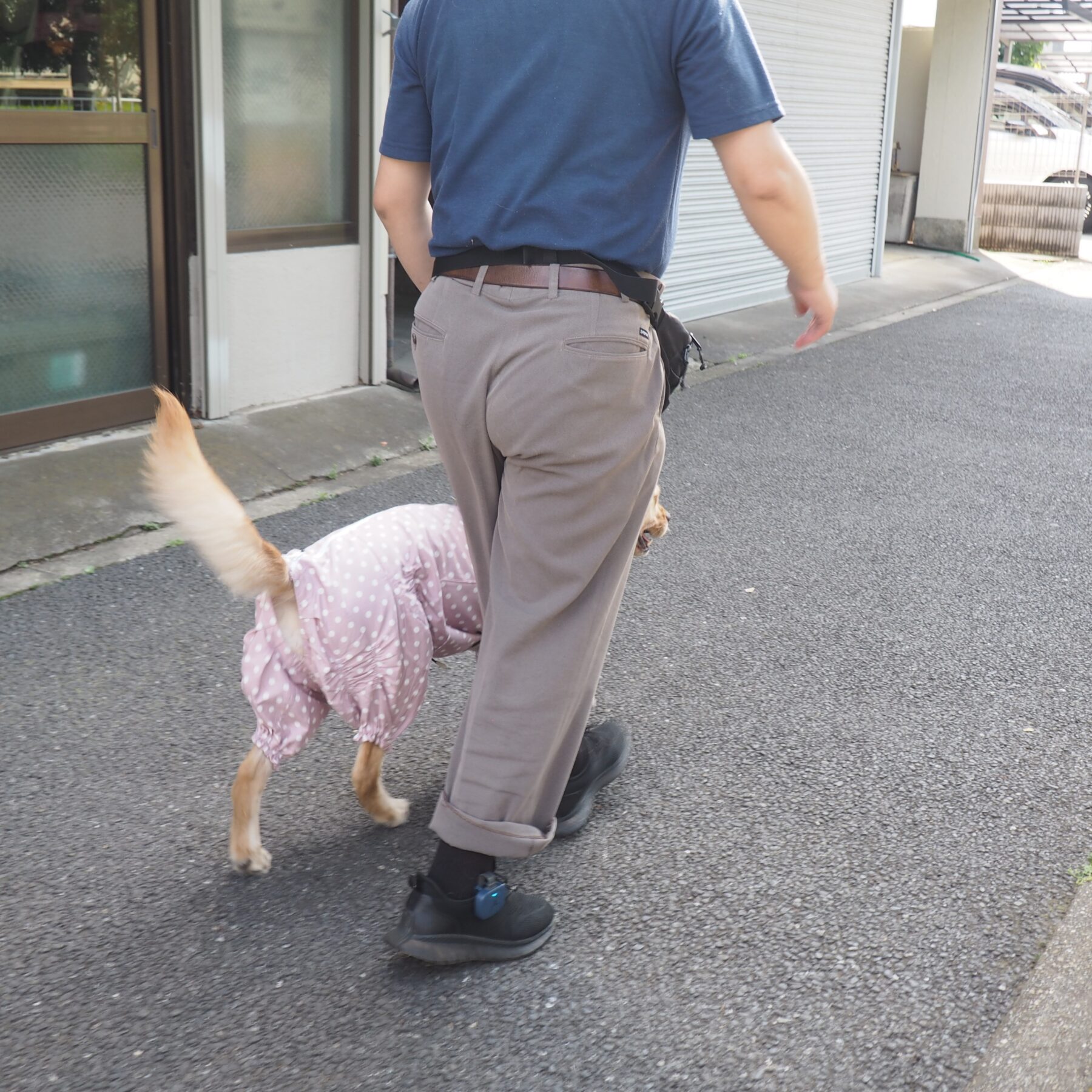 あしらせを装着して、盲導犬と一緒に歩いている後ろ姿